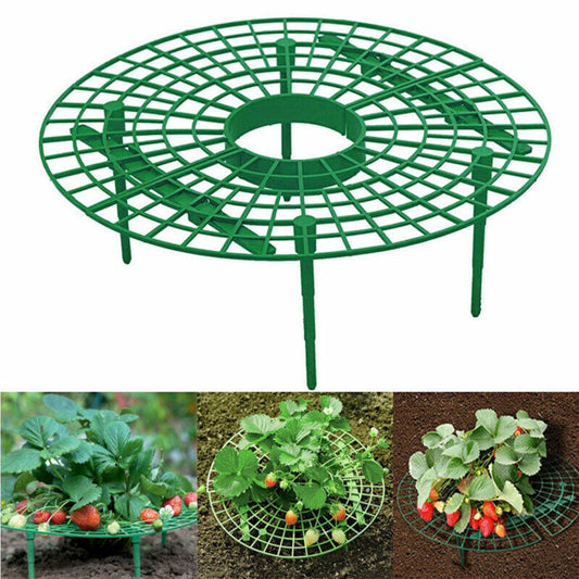 Strawberry stand