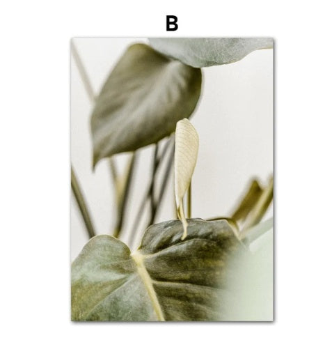 Canvas Core Spray Painting Hanging Rimless Decorative Picture