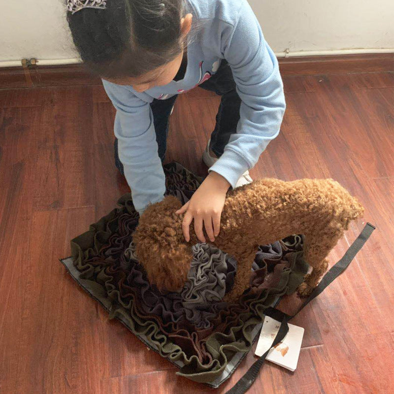 Pet sniffing pad