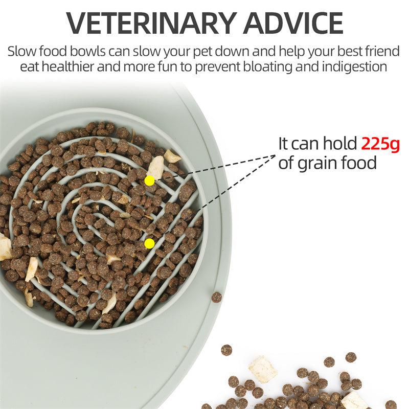 Pet Slow Food Bowl