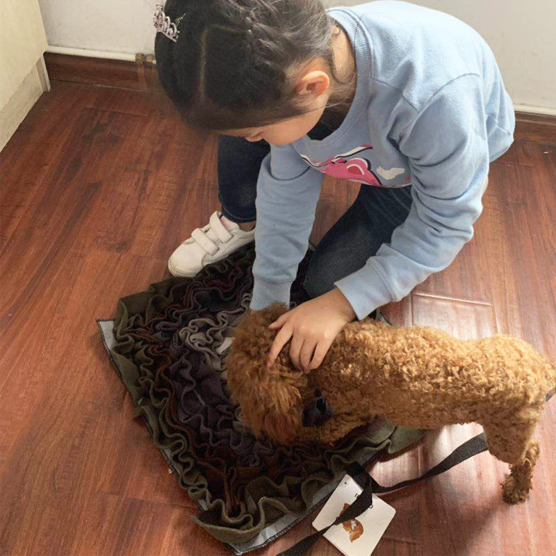 Pet sniffing pad
