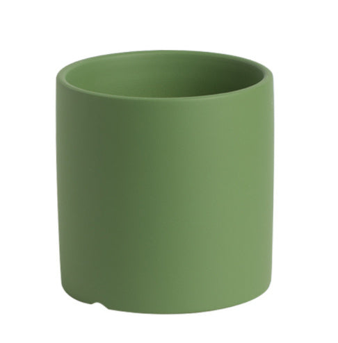 Maceta verde suculenta de estilo Morandi